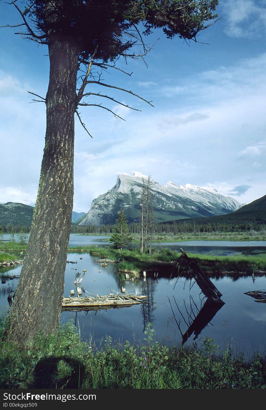 Mount Rundle, from Vermilion Lakes, Banff National Park. 6x7 Fuji RFP drum scan. Mount Rundle, from Vermilion Lakes, Banff National Park. 6x7 Fuji RFP drum scan.