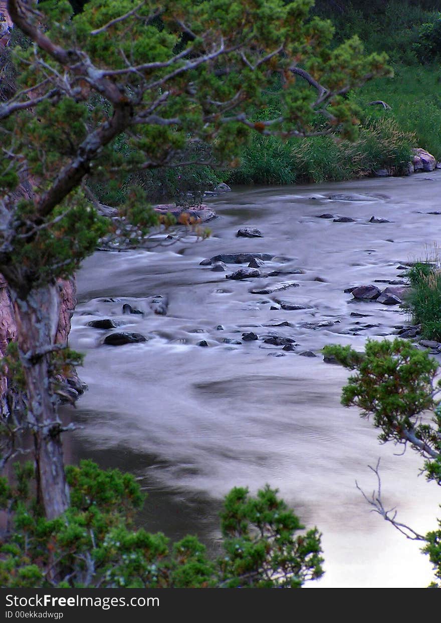 A picture of the foaming rapids on a river, which is under branches of a tree. A picture of the foaming rapids on a river, which is under branches of a tree.