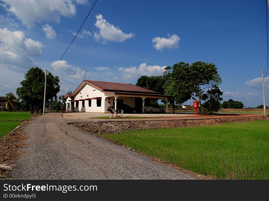 House, paddy field countryside