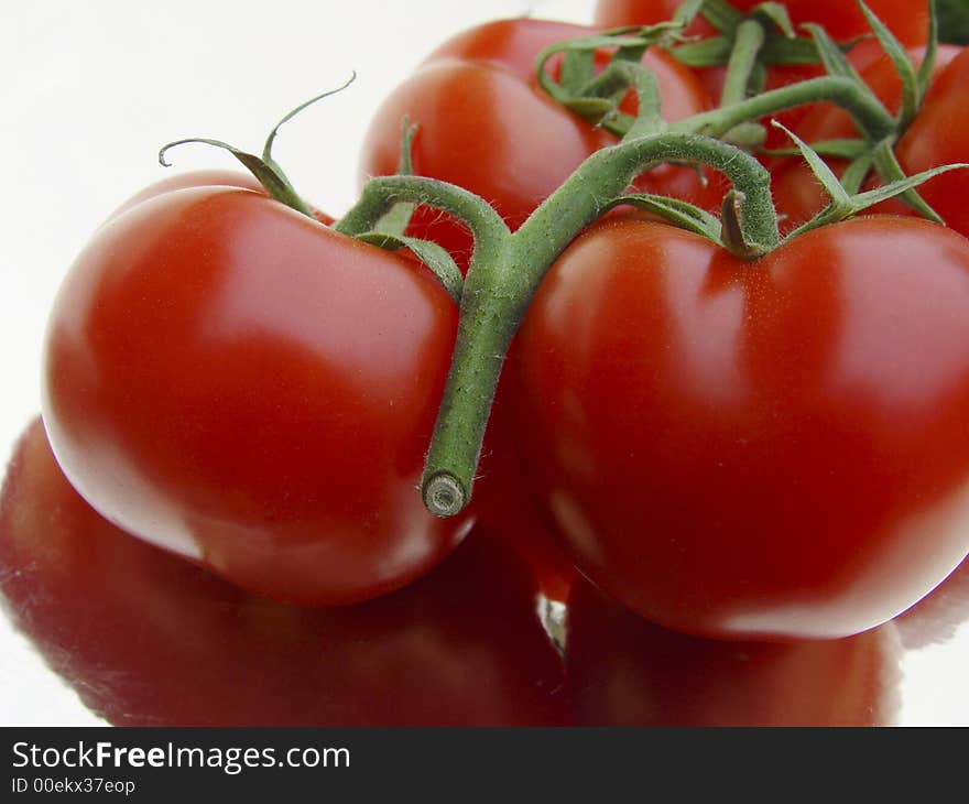 Branch Of Tomatoes