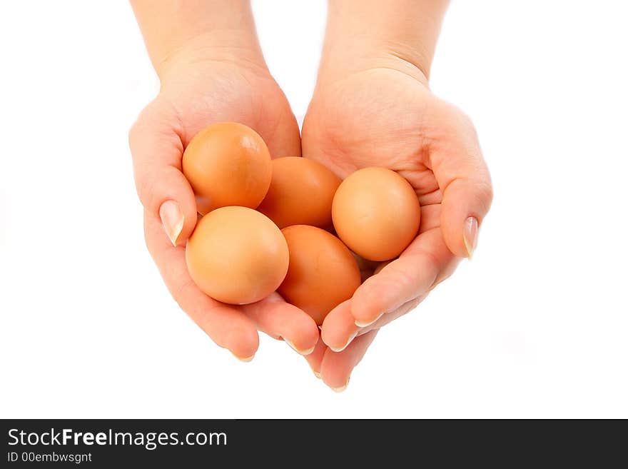 Group of eggs in female hands isolated on white background. Group of eggs in female hands isolated on white background