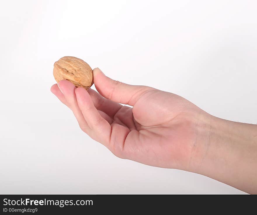 Hand Holding Walnut