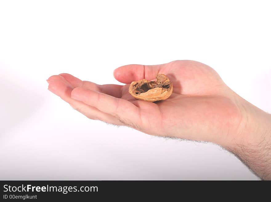 A hand holding the shell of a walnut. A hand holding the shell of a walnut.