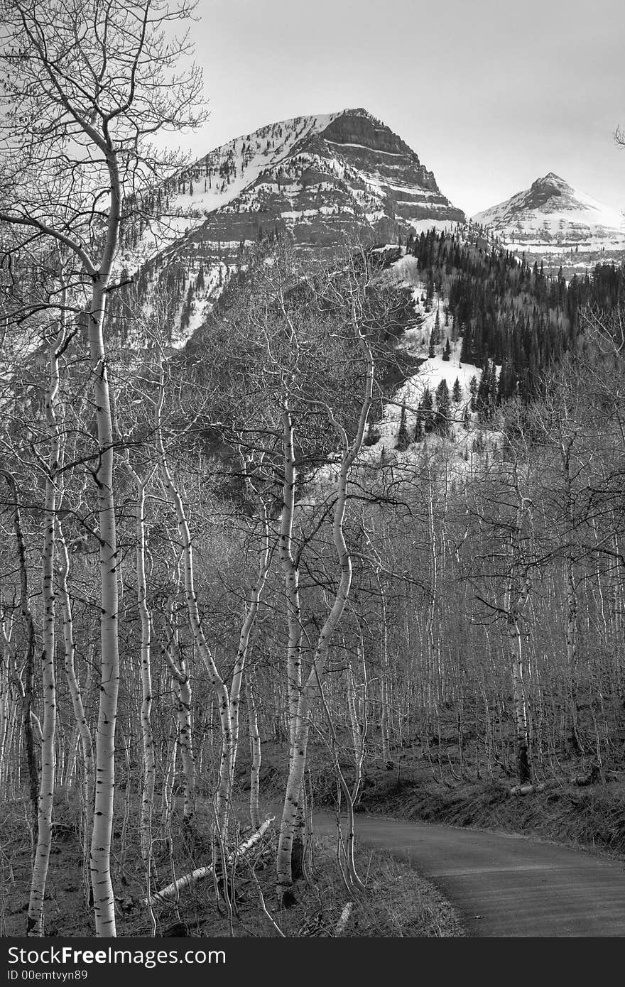 Black and white high dynamic range image of mountain road 3 vertical. Black and white high dynamic range image of mountain road 3 vertical