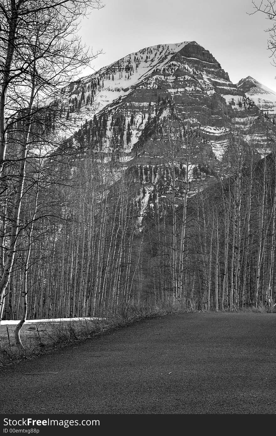 Black and white high dynamic range image of mountain road 4 vertical. Black and white high dynamic range image of mountain road 4 vertical