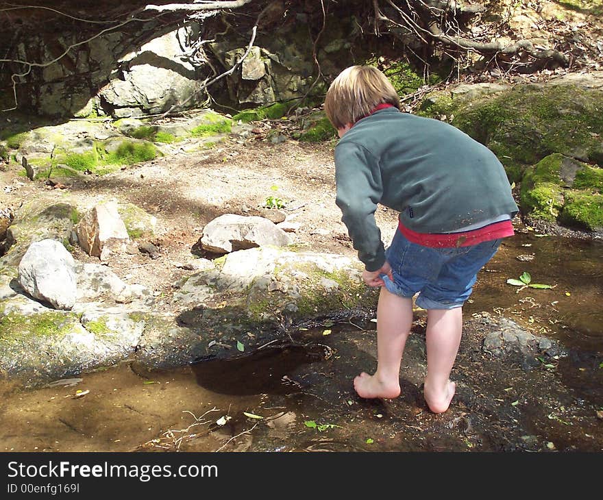 Boy Rolling Up Pants In Creek