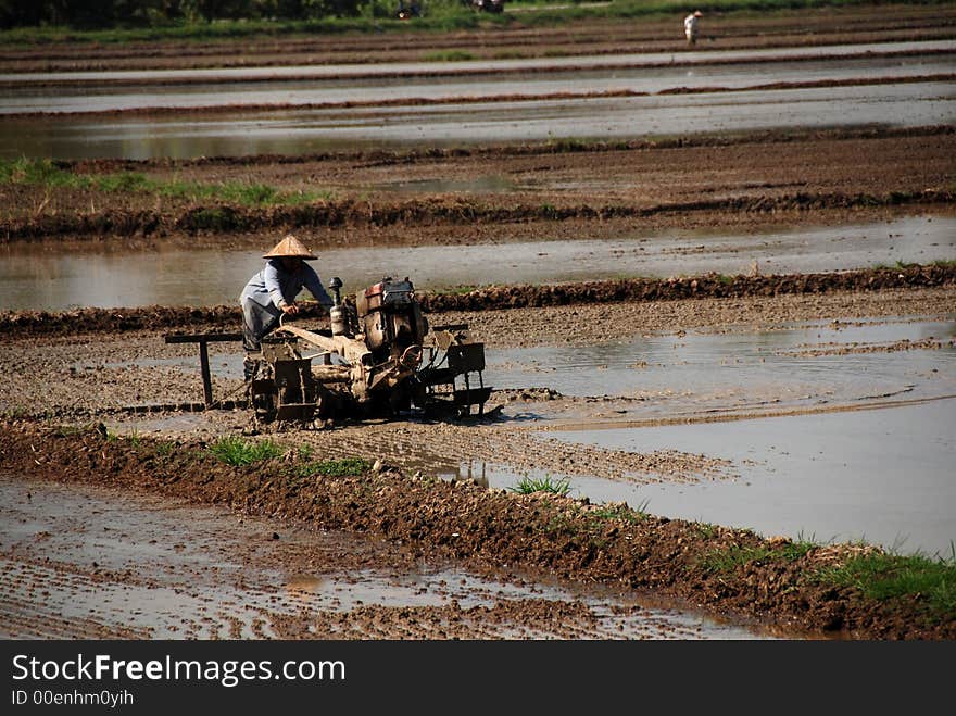 Paddy Field, Ploughing Machine