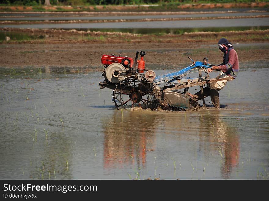 Ploughing machine, paddy field