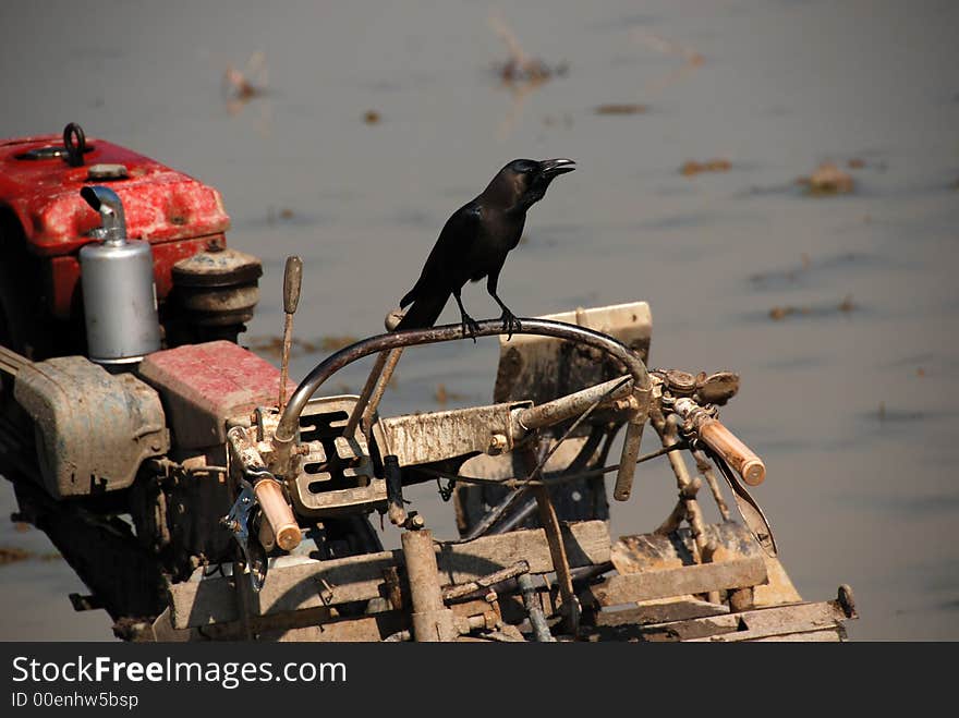 Crow and ploughing machine