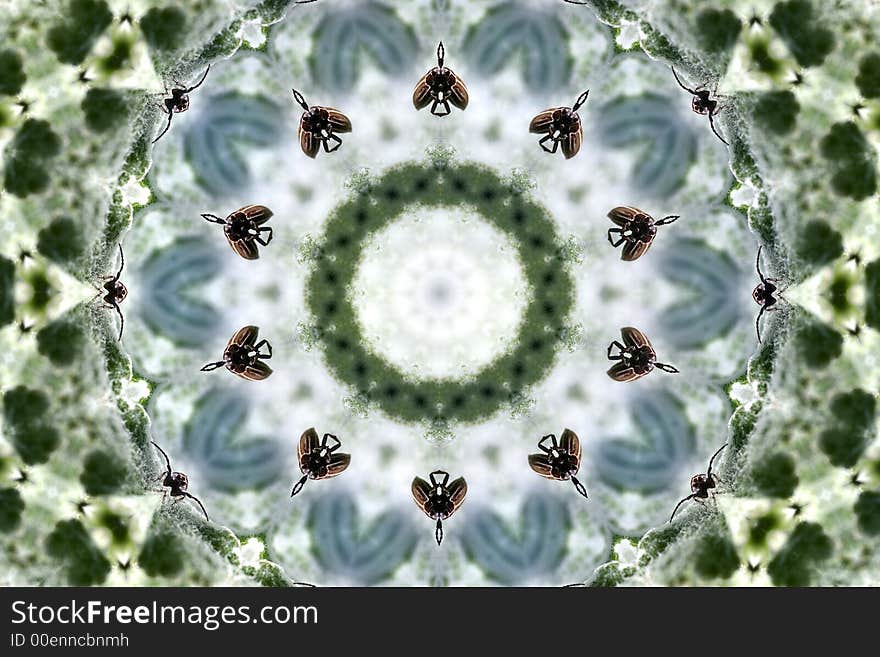 KALEIDOSCOPE 5