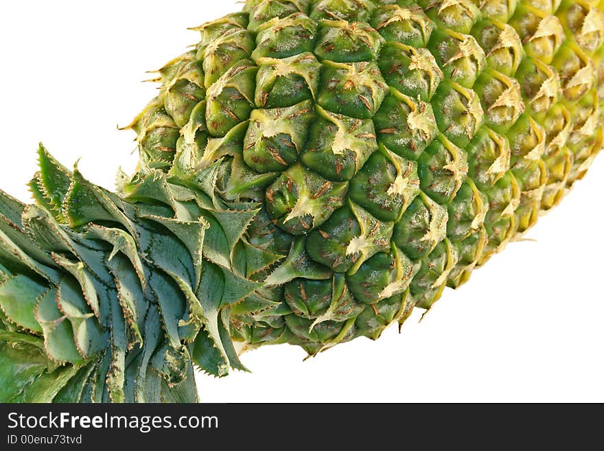 Tropical Pineapple