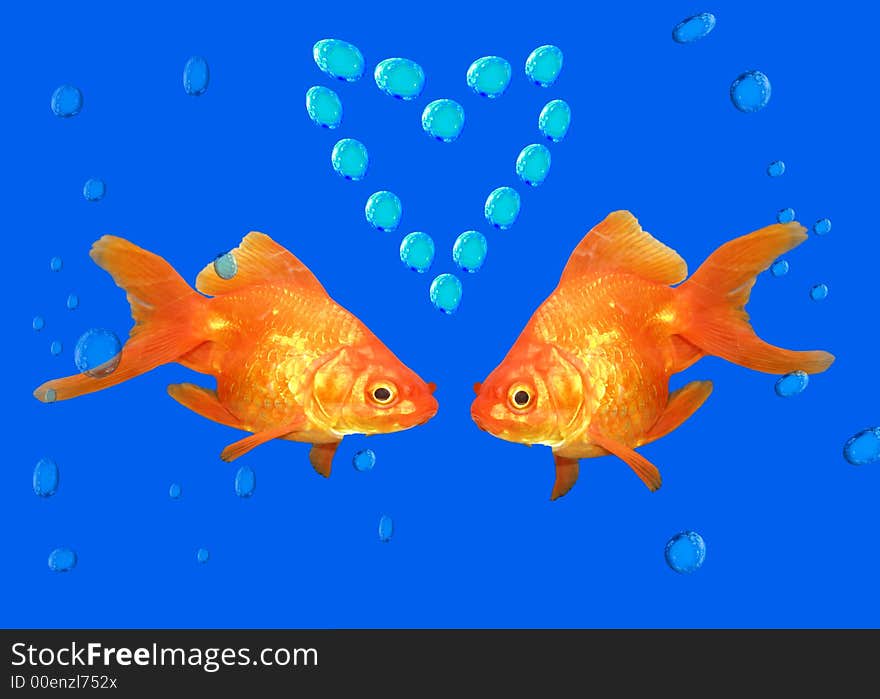 Love from to gold fishes. Love from to gold fishes