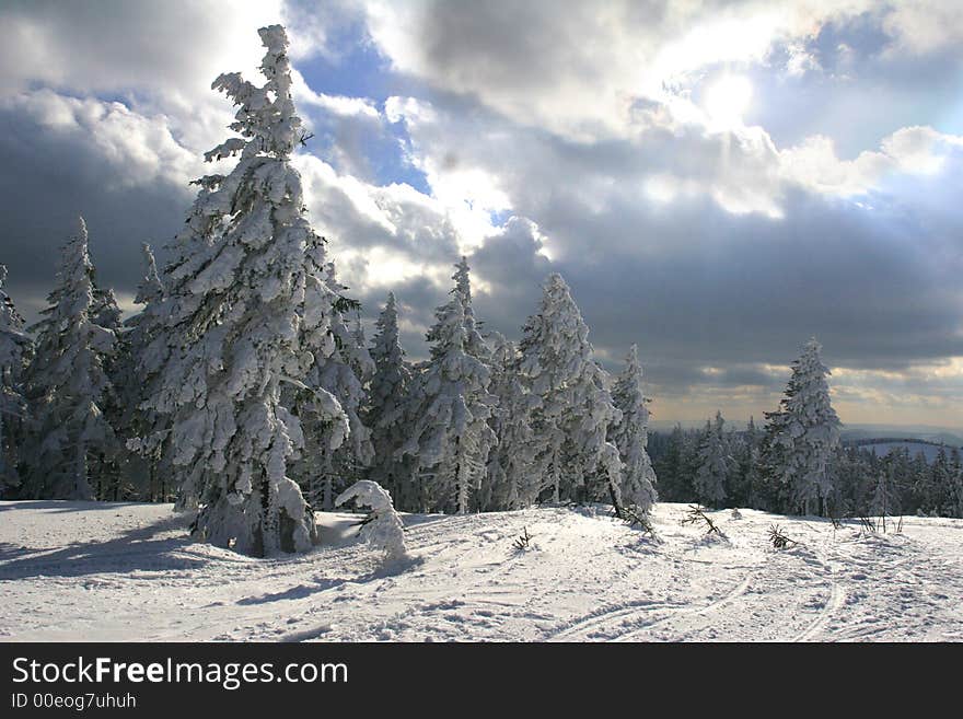 Sunshine and snow