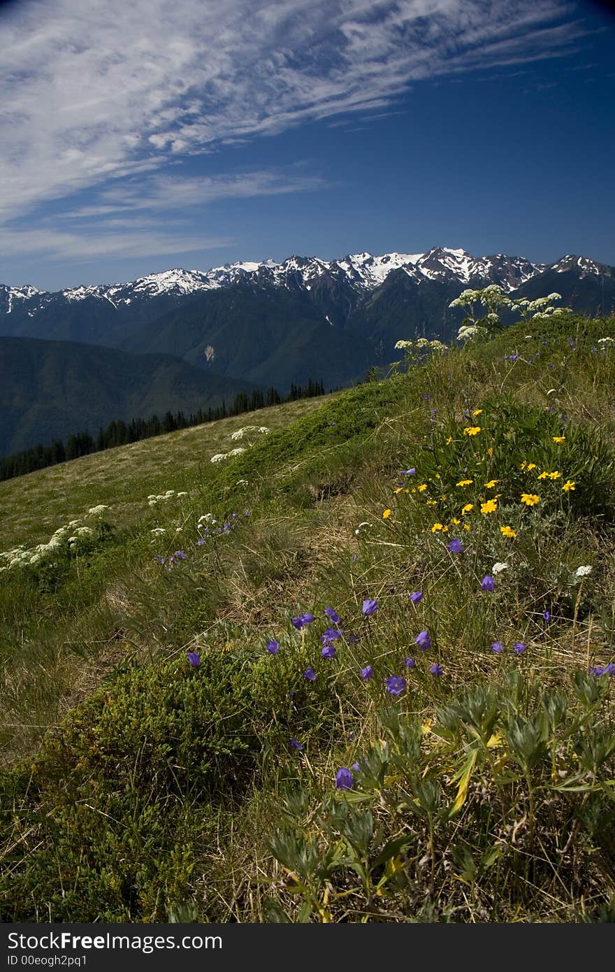 Hurricane ridge