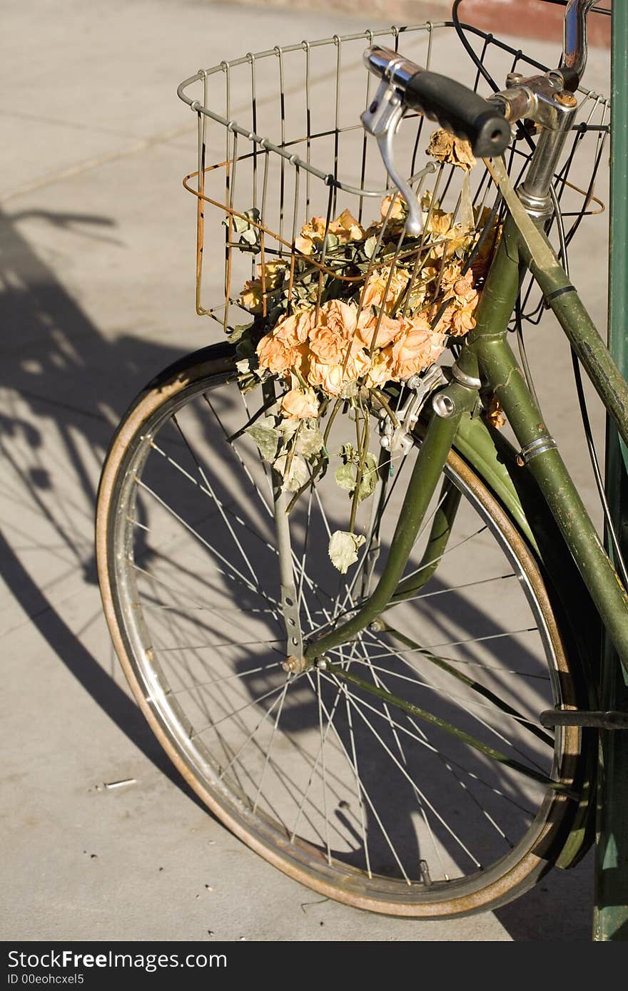 Old bicycle on the street of New York with dried roses in the basket. Old bicycle on the street of New York with dried roses in the basket