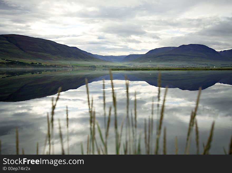 Lake And Grass