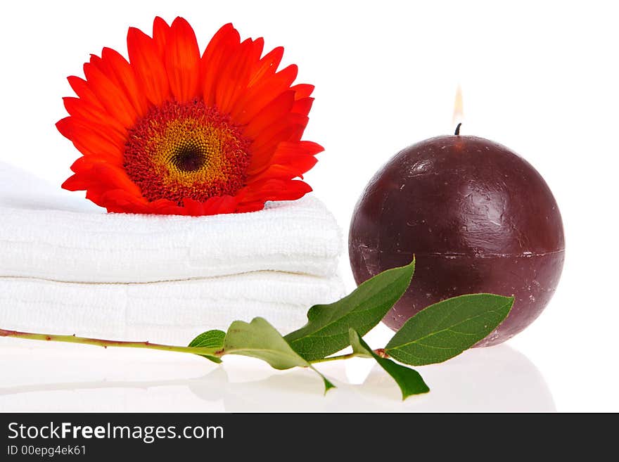 Candle, towel, flower, and green plant. Candle, towel, flower, and green plant