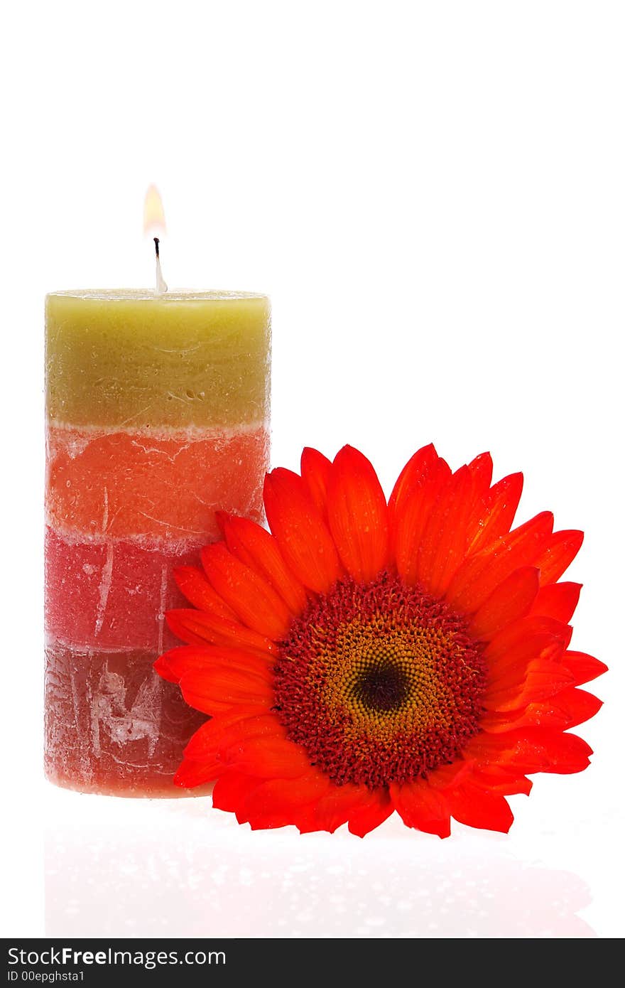 Burning candle and red flower. Burning candle and red flower