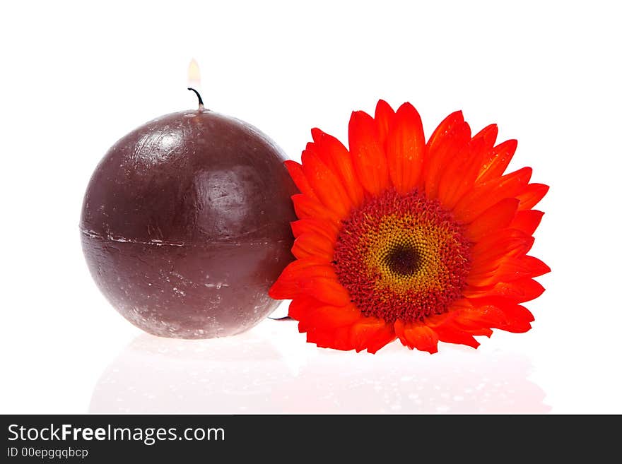 Brown candle and red flower. Brown candle and red flower