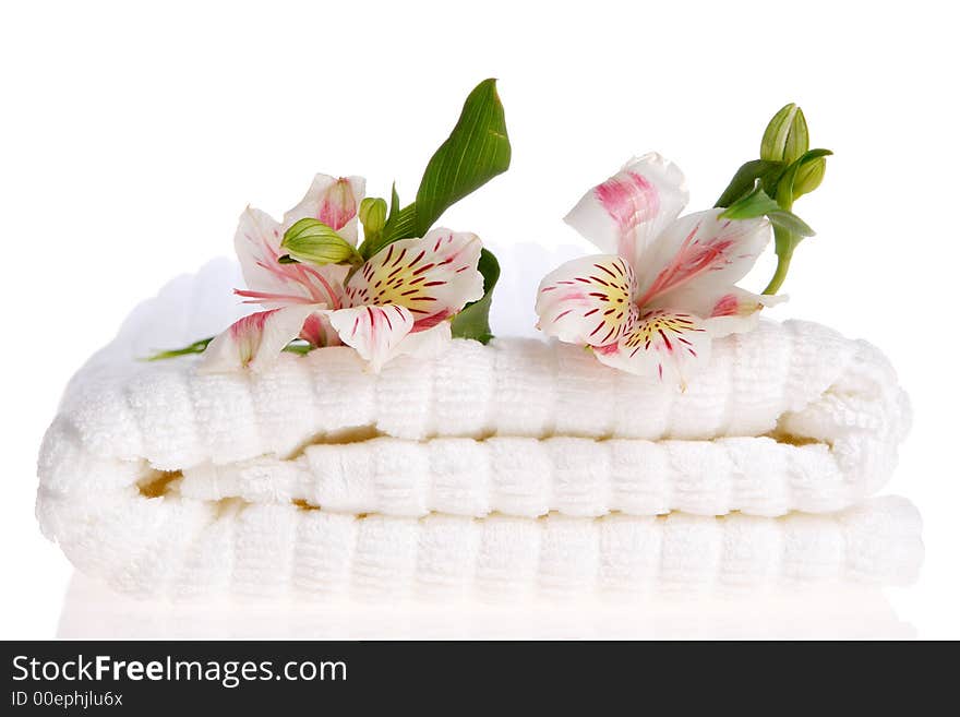 Towel and flowers on white background. Towel and flowers on white background