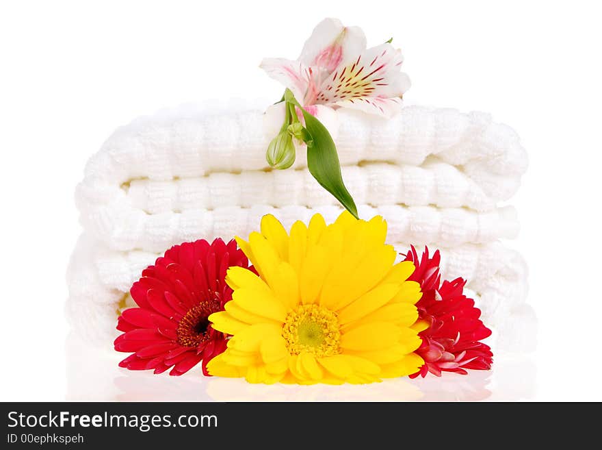 Towels and flowers on white background. Towels and flowers on white background