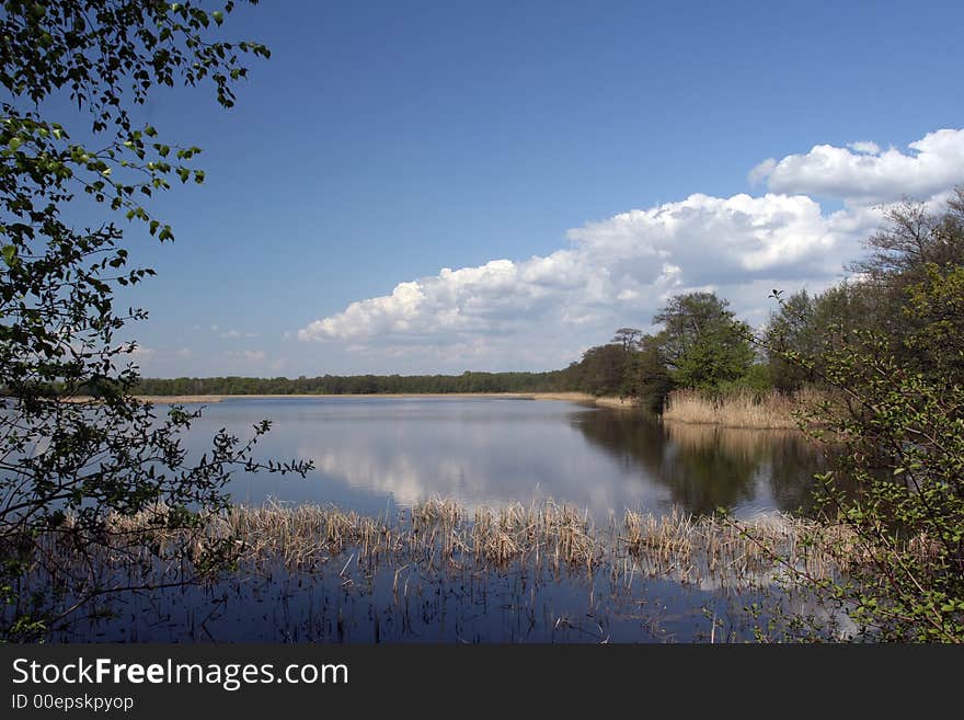 Sky, Forest And Lake