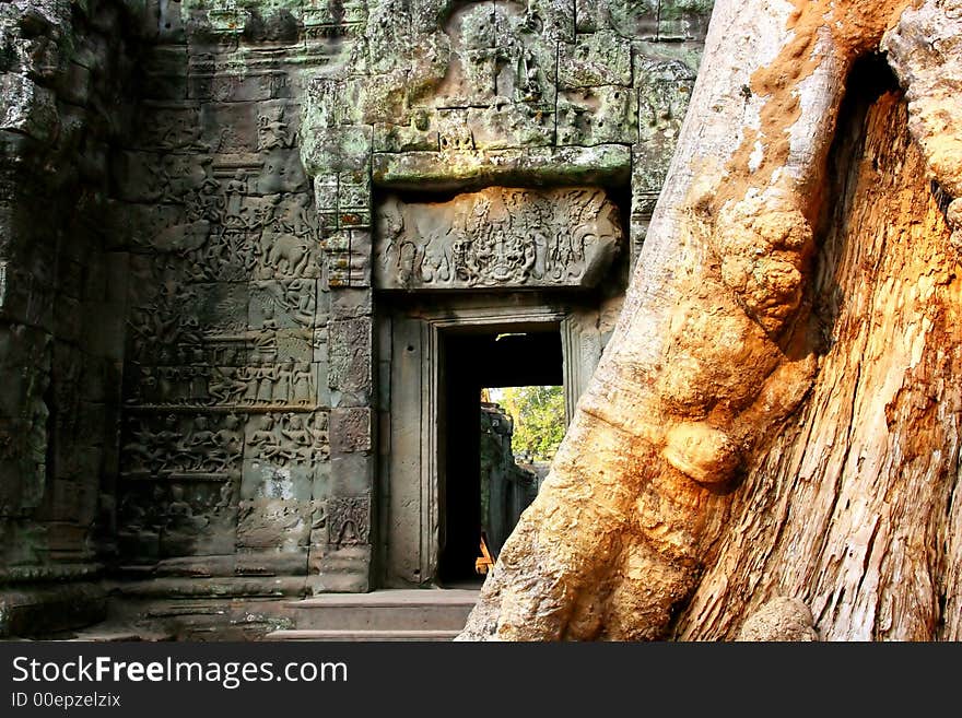 Entrance building to ta prom temple in  angkor ruins,  cambodia, with giant tree glowing it the early morning light. Entrance building to ta prom temple in  angkor ruins,  cambodia, with giant tree glowing it the early morning light