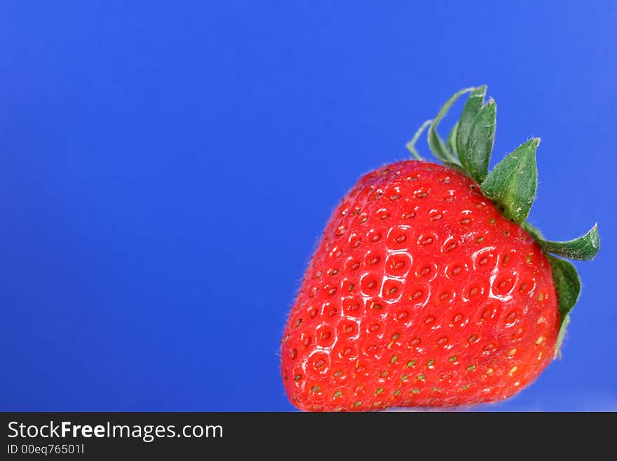 A single organic strawberry against a vibrant blue background