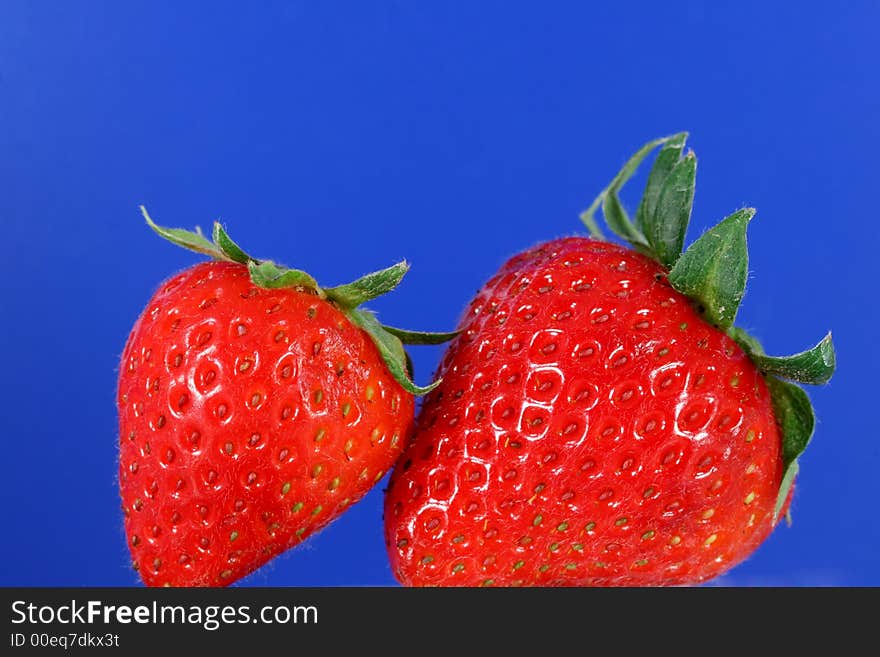 A couple of red organic strawberries with a vibrant blue background. A couple of red organic strawberries with a vibrant blue background