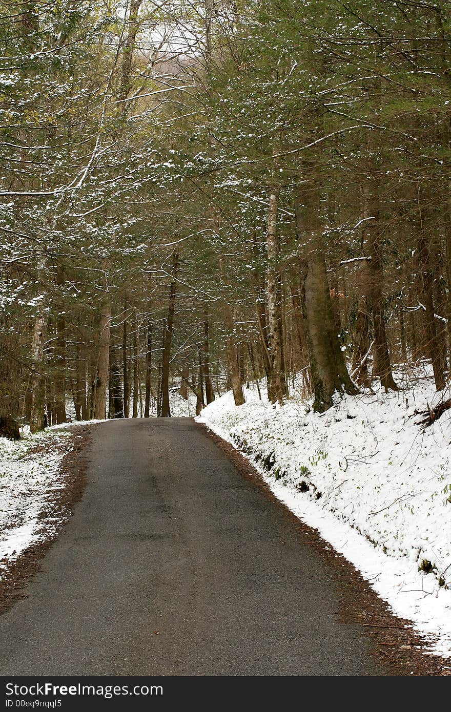 Spring Snowfall