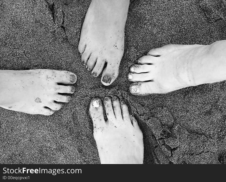 Four feet stepping in together in the sand on the beach. Four feet stepping in together in the sand on the beach.