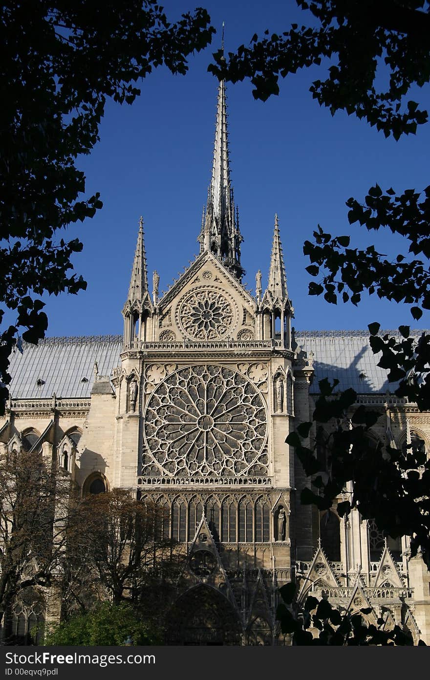 Notre Dame Cathedral framed by trees. Notre Dame Cathedral framed by trees