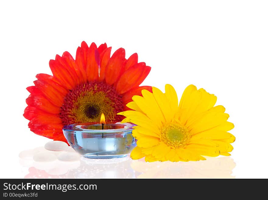 Burning candle and two flowers. Burning candle and two flowers