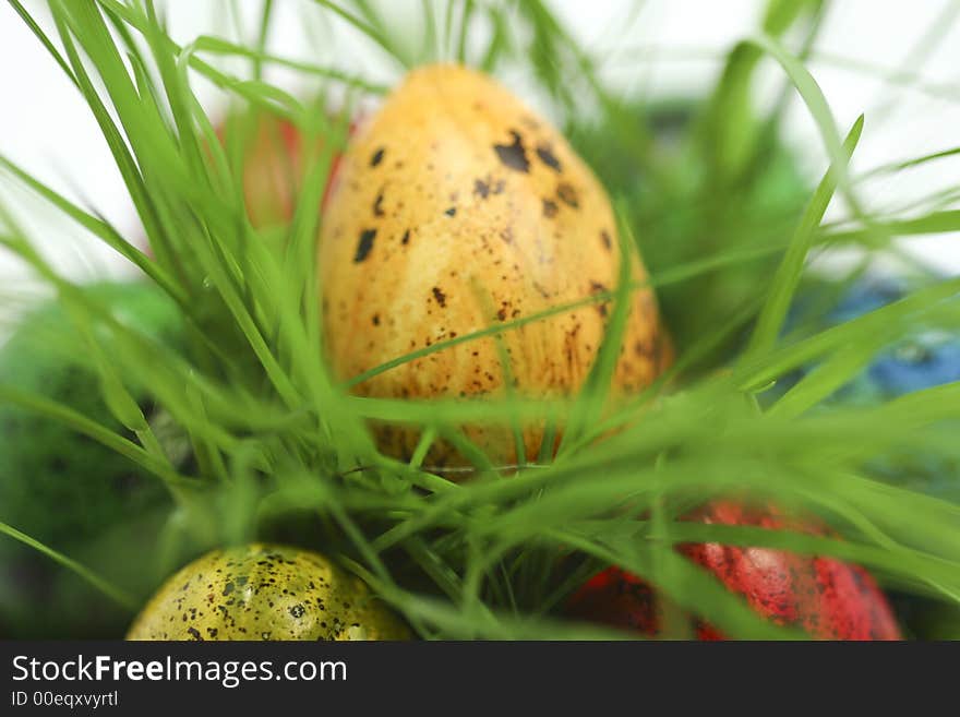 Easter eggs hiding in grass