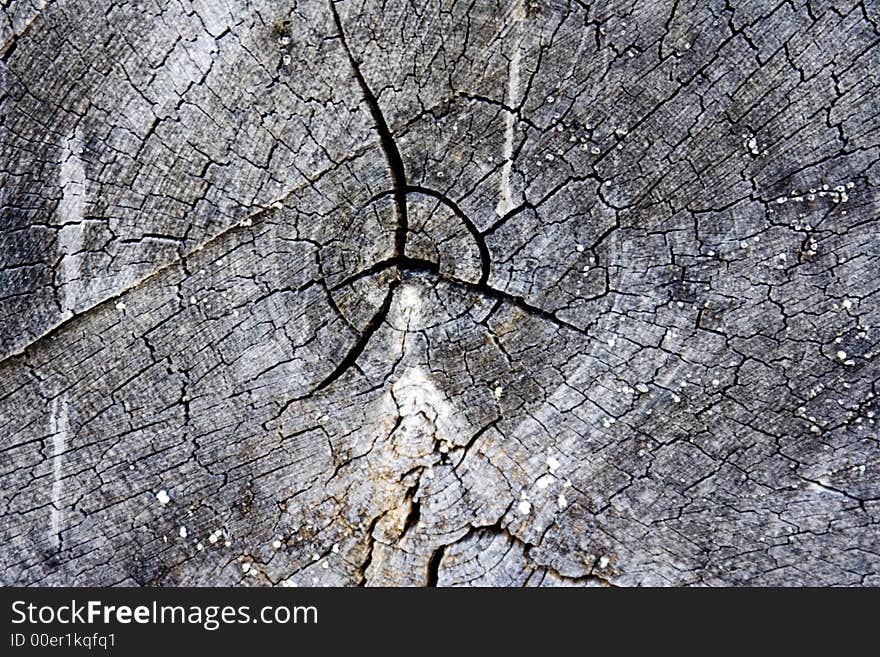 Close up of Old firewood log showing grain and rings. Close up of Old firewood log showing grain and rings