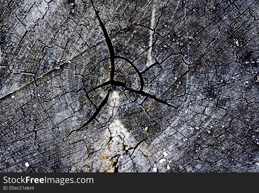 End close up view of the grain on a piece of firewood aged and dried. End close up view of the grain on a piece of firewood aged and dried