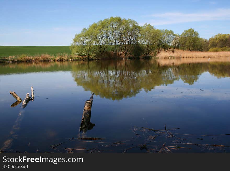 Pond with reflection