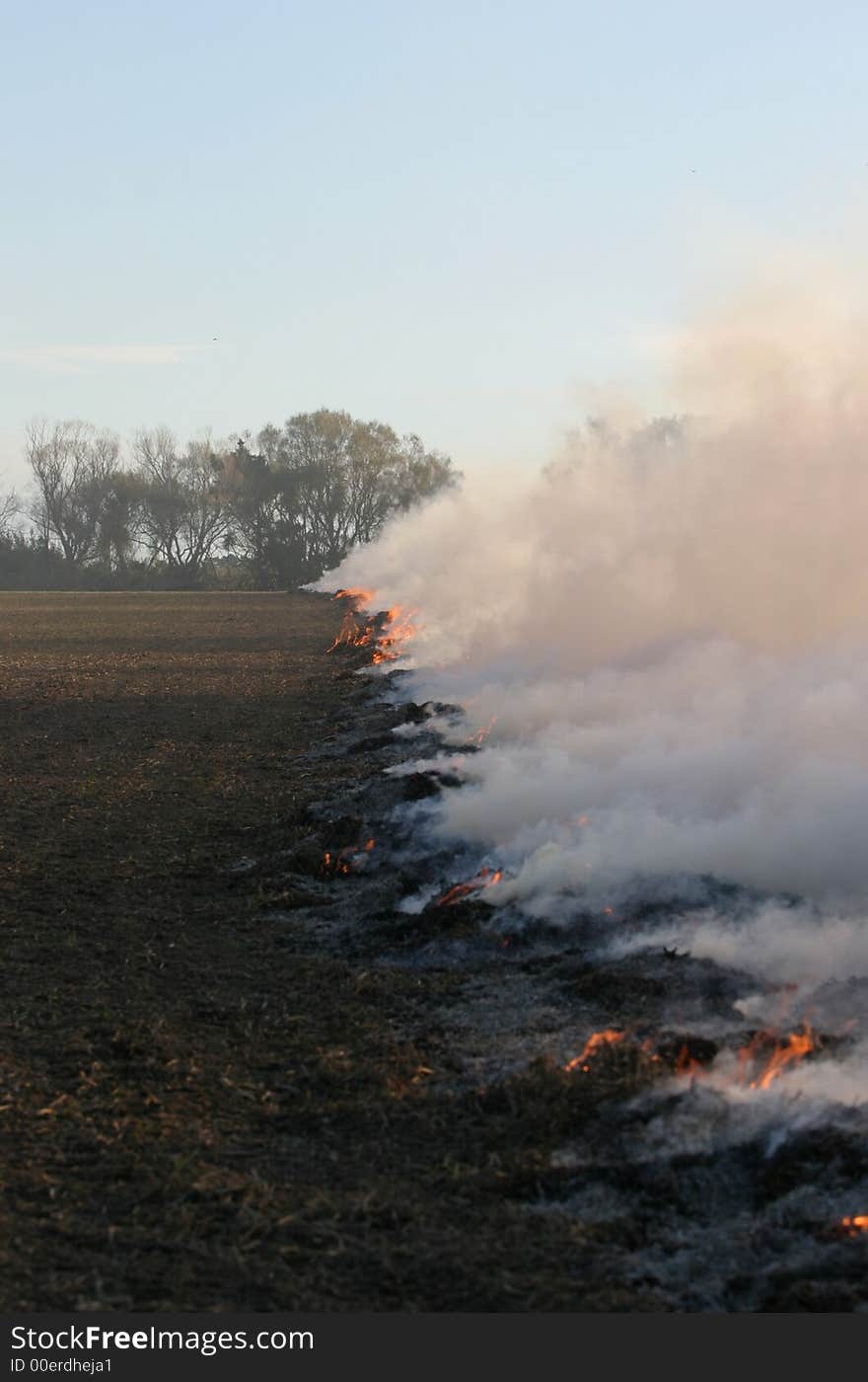 Grass/Stubble fire making it's way across a paddock in Canterbury, New Zealand.