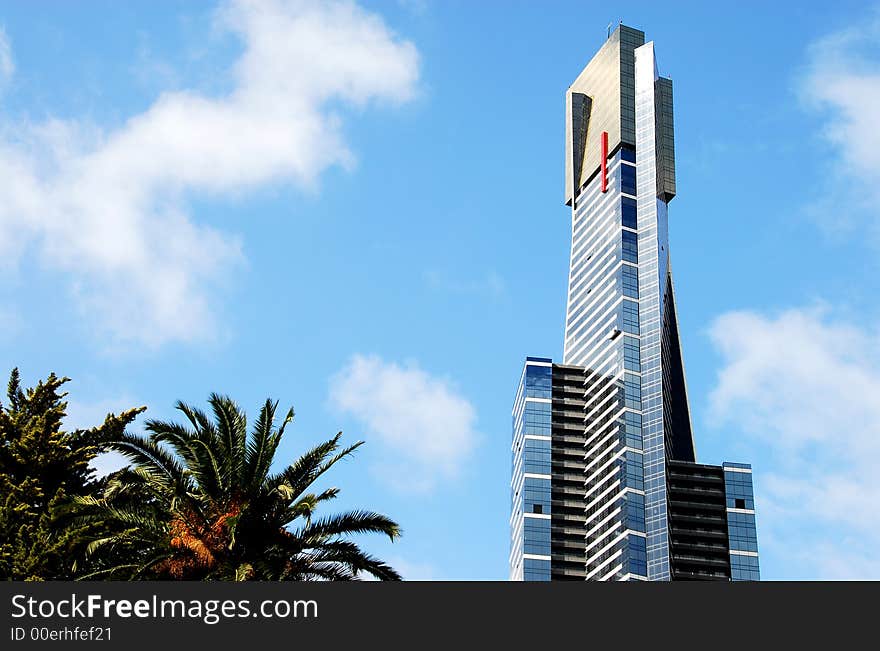 Very tall modern building in the city with a palm tree in the foreground. Very tall modern building in the city with a palm tree in the foreground