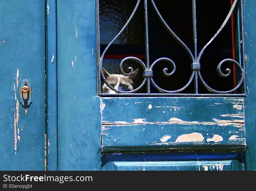 Cat guardian angel, photo made in the island of Rhodes, Greece. Cat guardian angel, photo made in the island of Rhodes, Greece