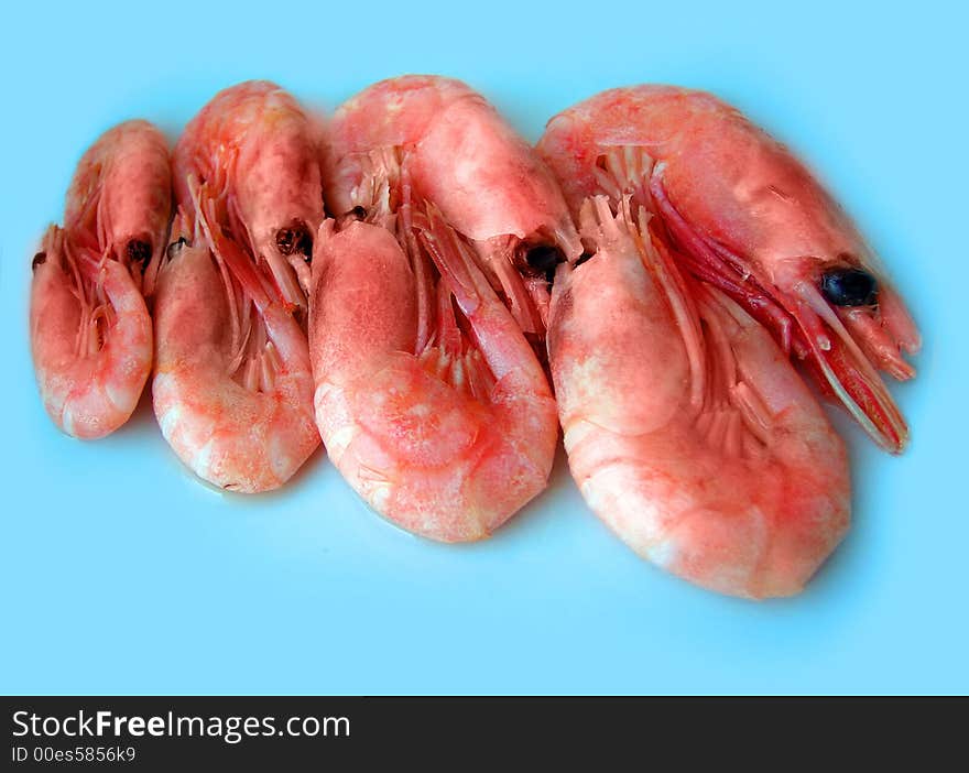 still life from prawns on turn blue background