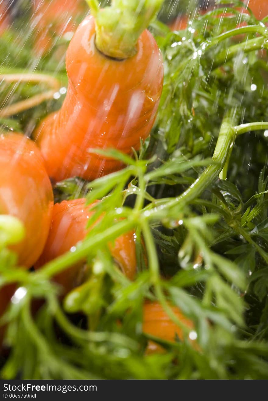 The carrot is a root vegetable, typically orange or white in colour with a woody texture. The carrot is a root vegetable, typically orange or white in colour with a woody texture.