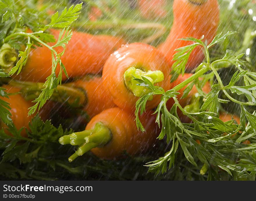 The carrot is a root vegetable, typically orange or white in colour with a woody texture. The carrot is a root vegetable, typically orange or white in colour with a woody texture.