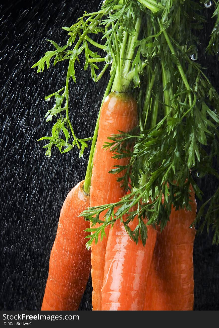 The carrot is a root vegetable, typically orange or white in colour with a woody texture. The carrot is a root vegetable, typically orange or white in colour with a woody texture.