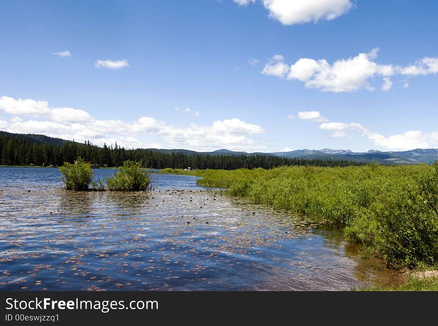 Lake Landscape