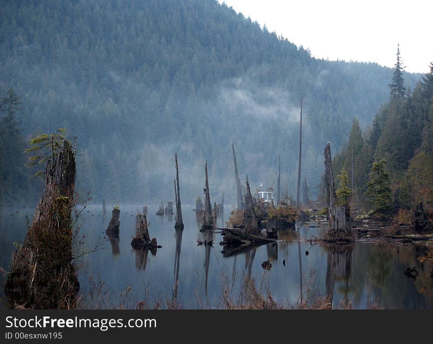 Spooky Lake