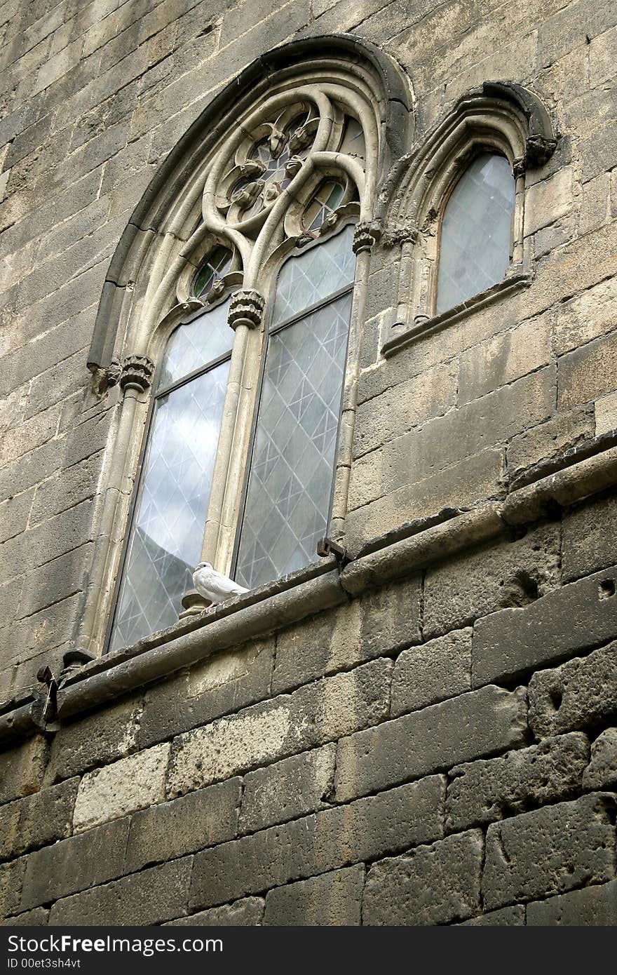 The old church window with white dove siting on the window sill