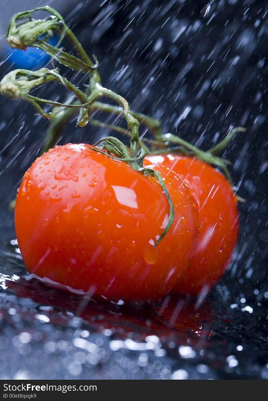 Tomato - is a cultivated plant. It is commonly cultivated because of its juicy fruits, which are full of vitamins, nutritions and mineral salts. Tomato - is a cultivated plant. It is commonly cultivated because of its juicy fruits, which are full of vitamins, nutritions and mineral salts.