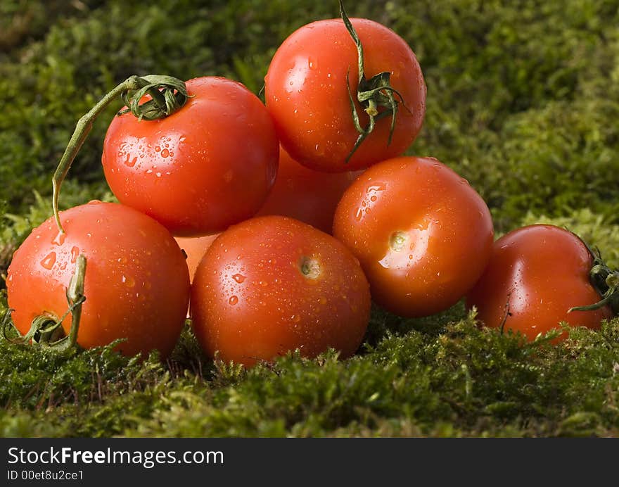 Tomatos On The Moss