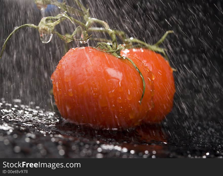 Tomato - is a cultivated plant. It is commonly cultivated because of its juicy fruits, which are full of vitamins, nutritions and mineral salts. Tomato - is a cultivated plant. It is commonly cultivated because of its juicy fruits, which are full of vitamins, nutritions and mineral salts.